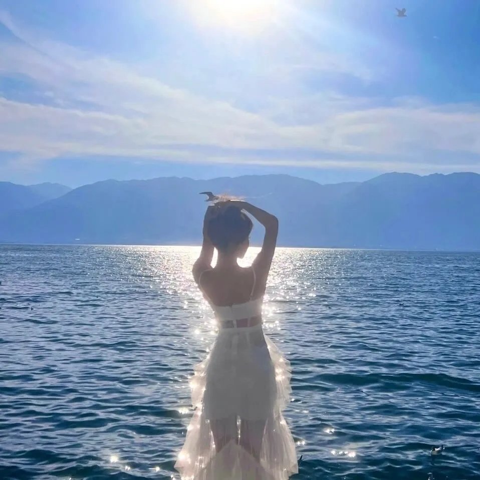 雾水总统 海报